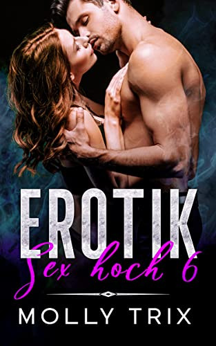 Erotik: Sex hoch 6. 6 perverse Tabu-Sexbeichten und erotische Kurzgeschichten